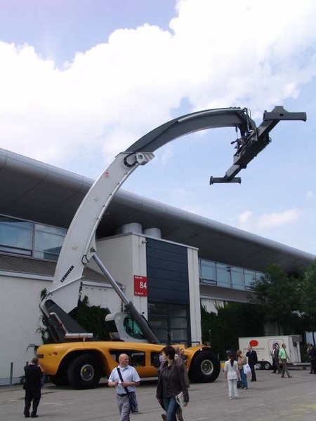 Alles Banane? Mitnichten! Der Liebherr Reachstacker LRS 645 fiel auch hier auf.