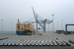  Gl�nzende Aussichten bei tr�bem Wetter: Die ersten 1.700 Fahrzeuge landen per Schiff am Containerterminal von Gdansk