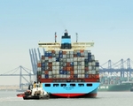 Foto: Maersk - Das Schwesterschiff der Marit: die Georg Maersk