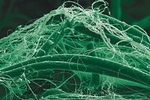 Kleiner geht's kaum noch: Nanofasern halten kleinste Partikel zur�ck.