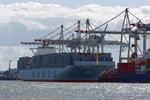Neuer Containerriese: Die �Cosco Asia�  machte jetzt erstmals im Hamburger Hafen fest. 